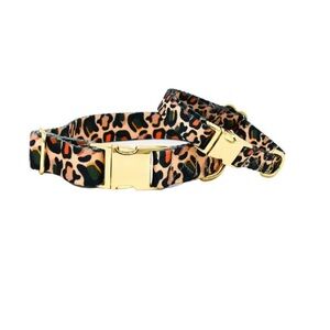 Beckett Dog Collar | Leopard Print Dog Collar | Dog Collar